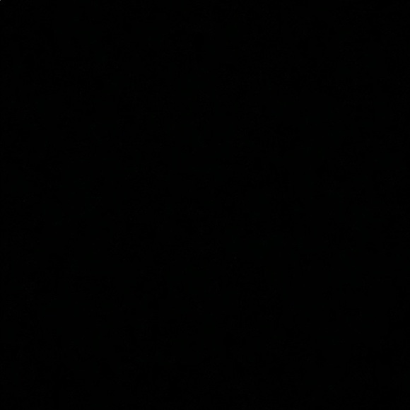 Meet your Posher, Fiona - Picture 1 of 1